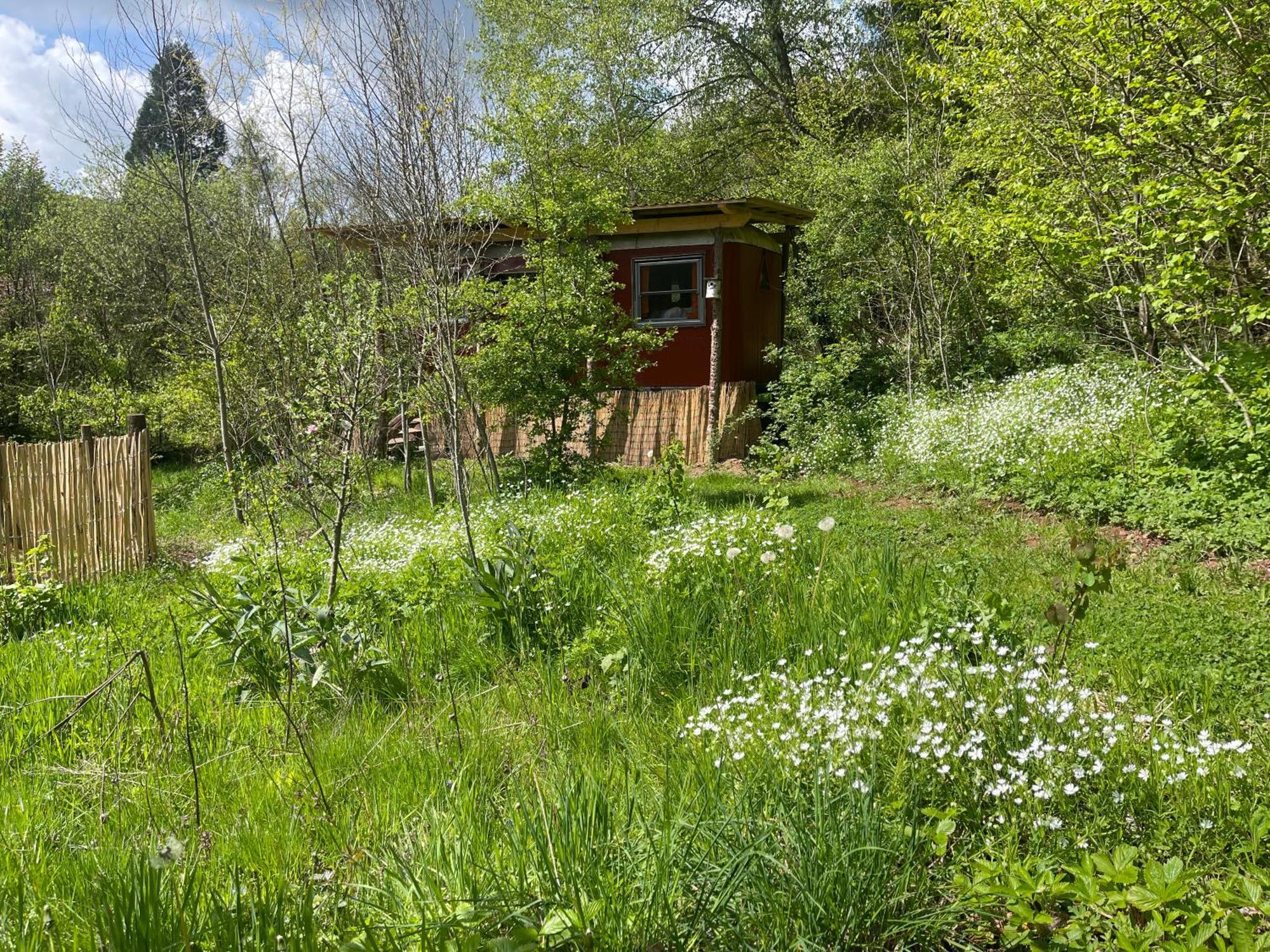 Kuscheliger Zirkuswagen Im Wildgarten Witzenhausen Exteriér fotografie